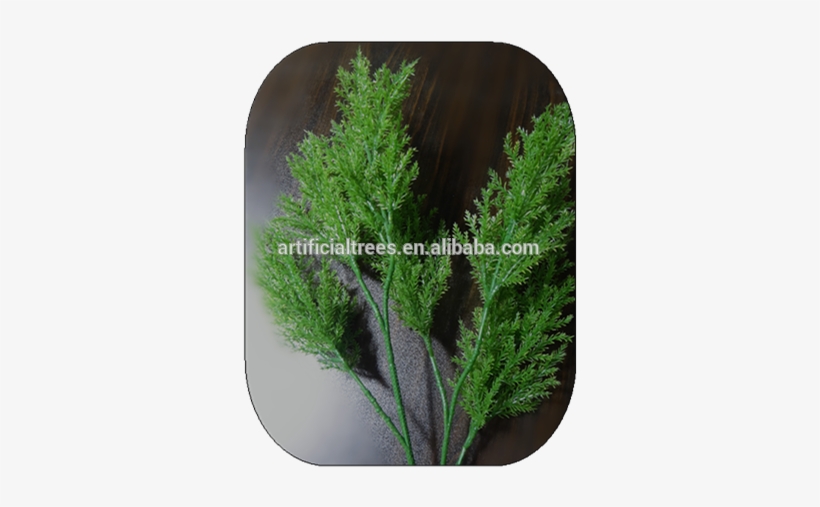 Light Green 2 - Tree, transparent png #4027640