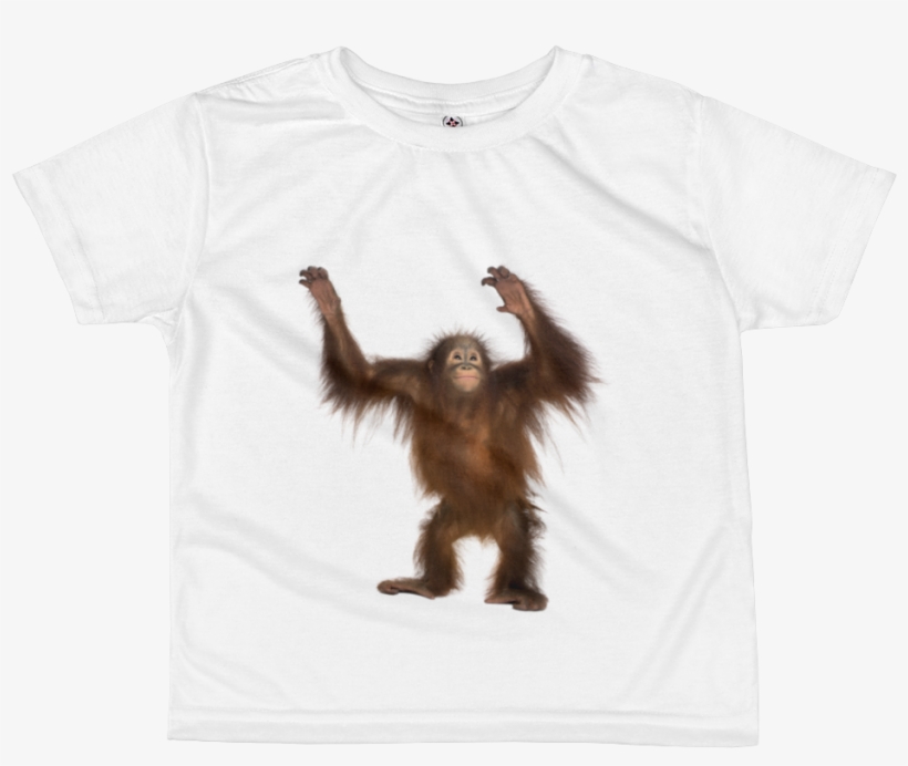 Orang Utan Print All Over Kids Sublimation T Shirt - Orangutan Png, transparent png #4027643