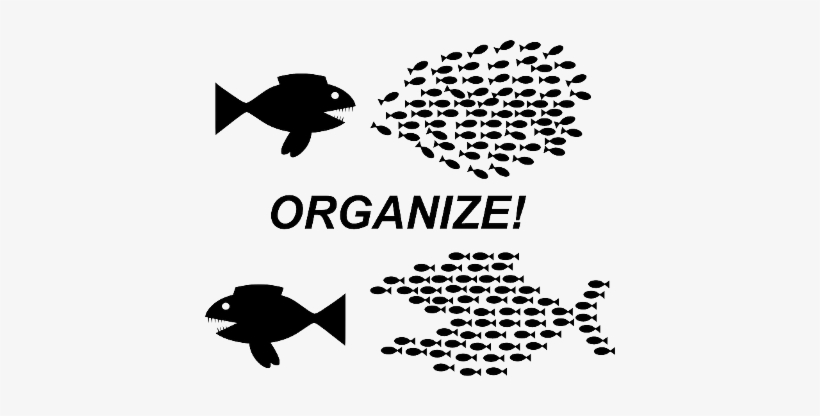 Networking And The Globalization Of Indifference - Union Fish, transparent png #4028877