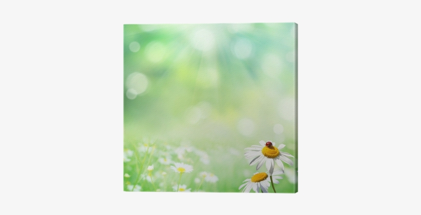 Sommar Bakgrund, transparent png #4029106