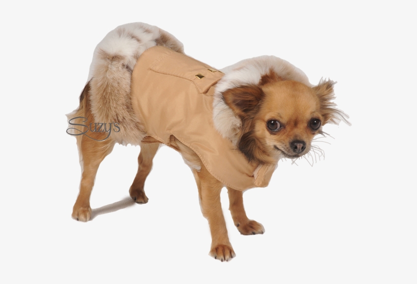 Coat, transparent png #4029111