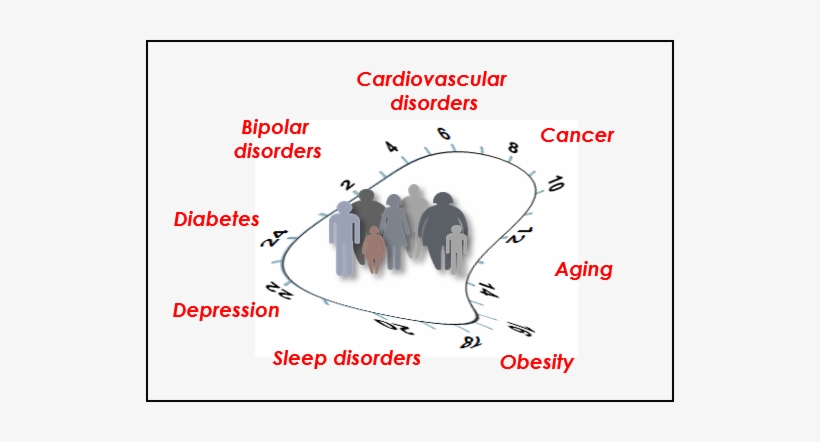Broken Clock And Disease - Dailymotion, transparent png #4030759