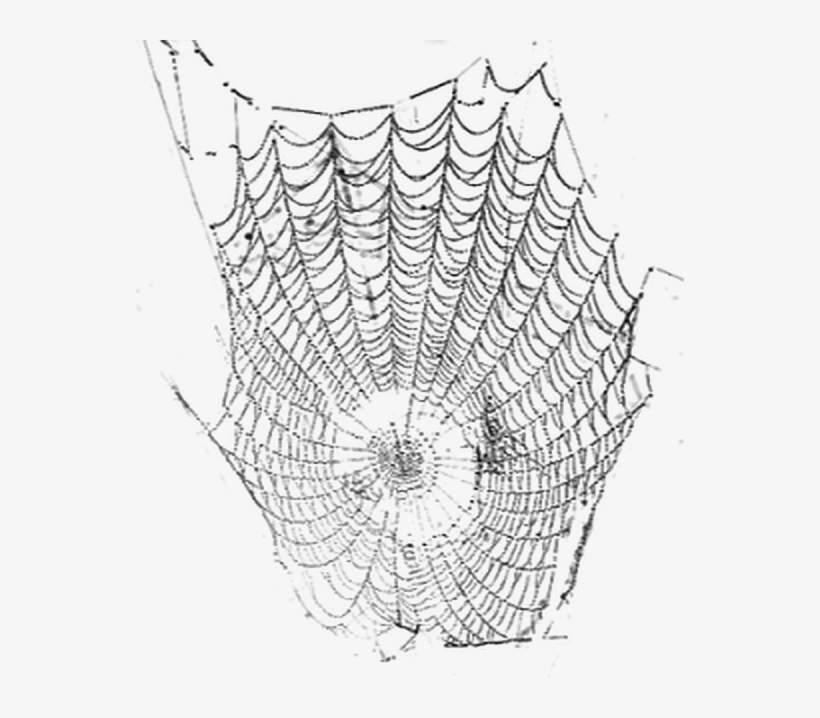 Sticker, transparent png #4031863