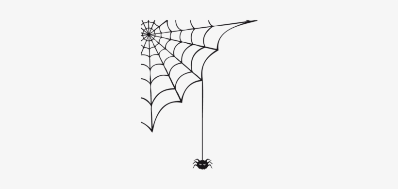 Color De La Superficie - Spider Vector, transparent png #4031917