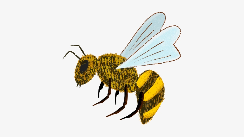 Bee - Portable Network Graphics, transparent png #4032100