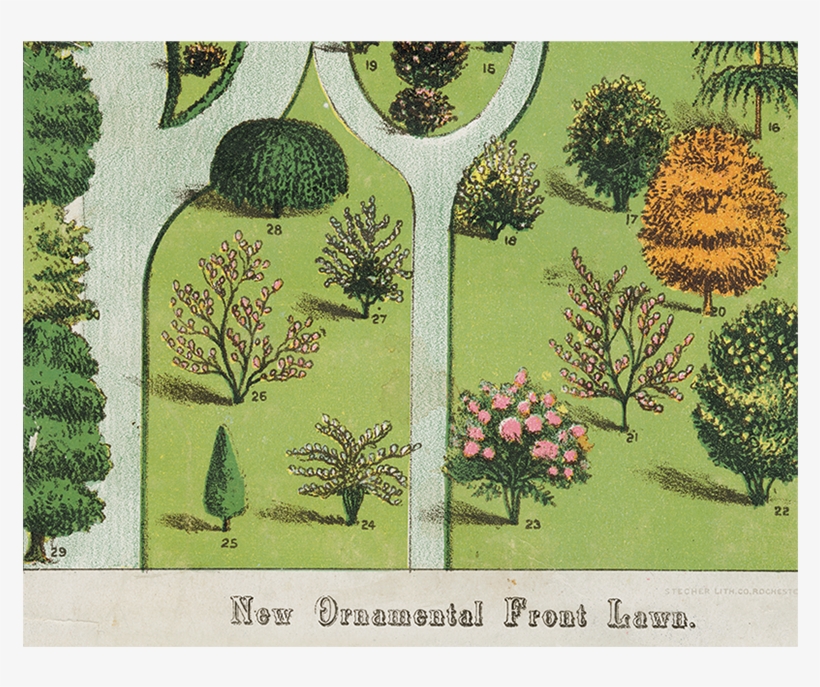 071 C0cacef2 9139 4c55 869a D2420a62a207 V=1527865563 - Garden, transparent png #4032205