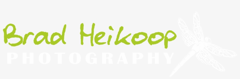 Photography, transparent png #4032944