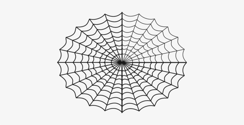 Spider Web Creepy Art Spooky Insect Spider - Polar Coordinate Plane Radians, transparent png #4033037
