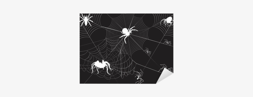 Spider, transparent png #4033144