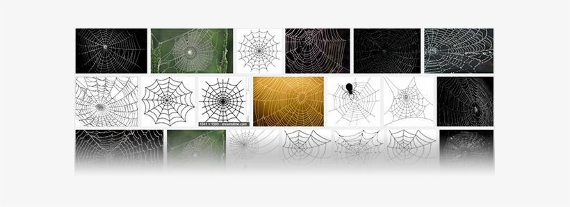 Even A Quick Google-search For “spiderweb” Didn't Help - Diablo 3 Spider Web, transparent png #4033172