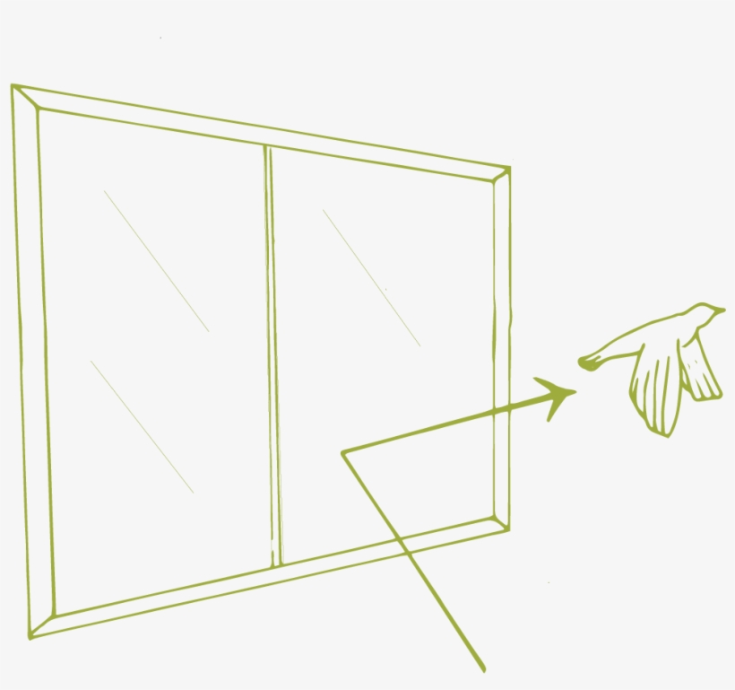 Safer Windows Inspired By Spider Webs - Diagram, transparent png #4033210