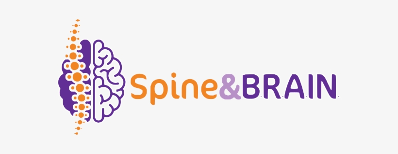 Logo Logo - Brain And Spine Logo, transparent png #4033316