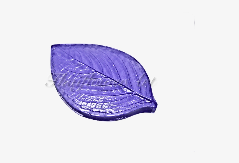 Garden Roses, transparent png #4033463