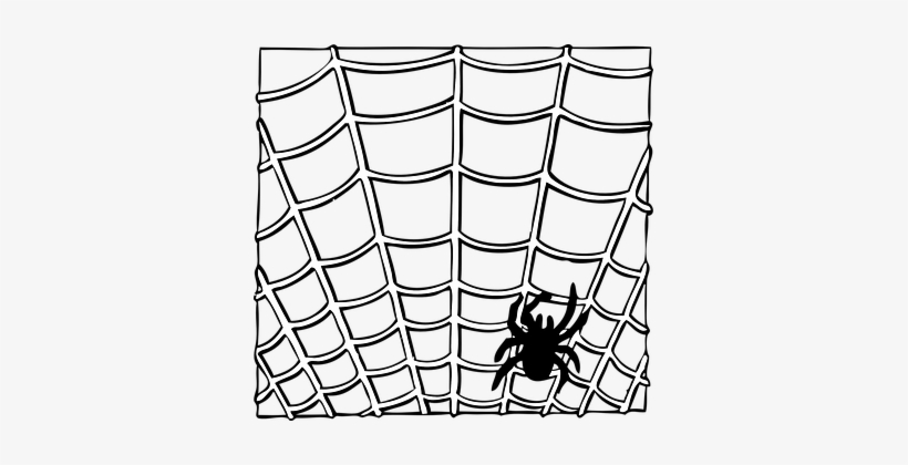 Spider, Web, Insect, Animal, Halloween - Spider Web Clip Art, transparent png #4033489