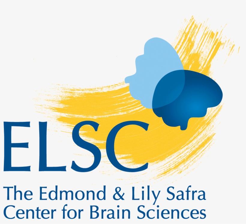 Attachments - Edmond And Lily Safra Center For Brain Sciences, transparent png #4033513
