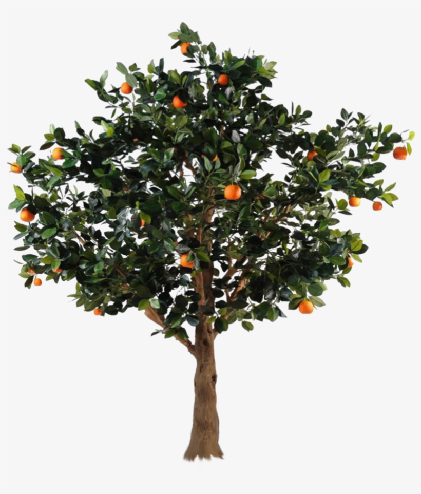 Professional Multifunctional Garden Tree Pruning Grafting, transparent png #4033765