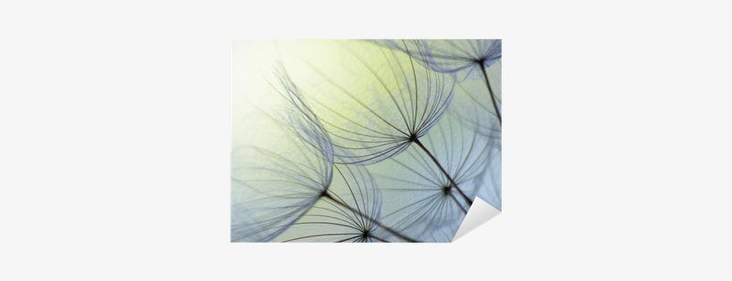 Dandelion Seed Png Download - Dandelion Personal Checks, transparent png #4034477