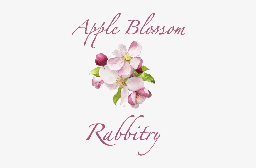 Apple Blossom Rabbitry - Dr Hauschka Night Serum, transparent png #4034565