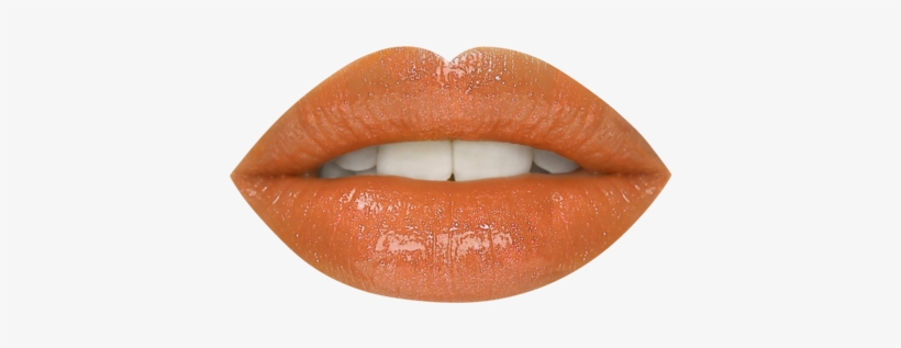 Coin Purse, transparent png #4034592