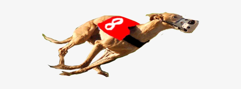 Give The Gift Of Life To A Greyhound - Running Whippet Png, transparent png #4034793