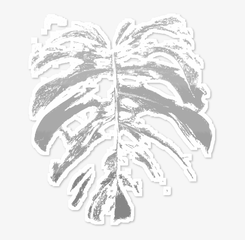 Adhesive, transparent png #4034884