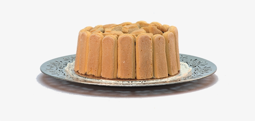 Tiramisu - Chocolate Cake, transparent png #4034937