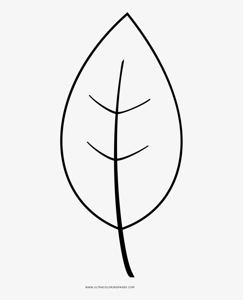 Leaf Coloring Page - Line Art, transparent png #4035040