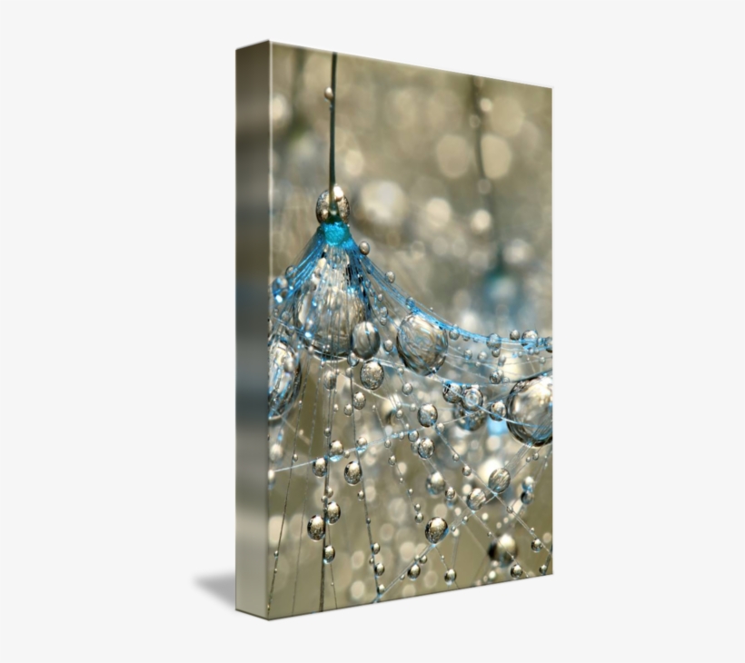 "cyan Gold" By Sharon Johnstone, Birmingham // Dandelion - Perfect International Cyan & Gold By Sharon Johnstone, transparent png #4035042