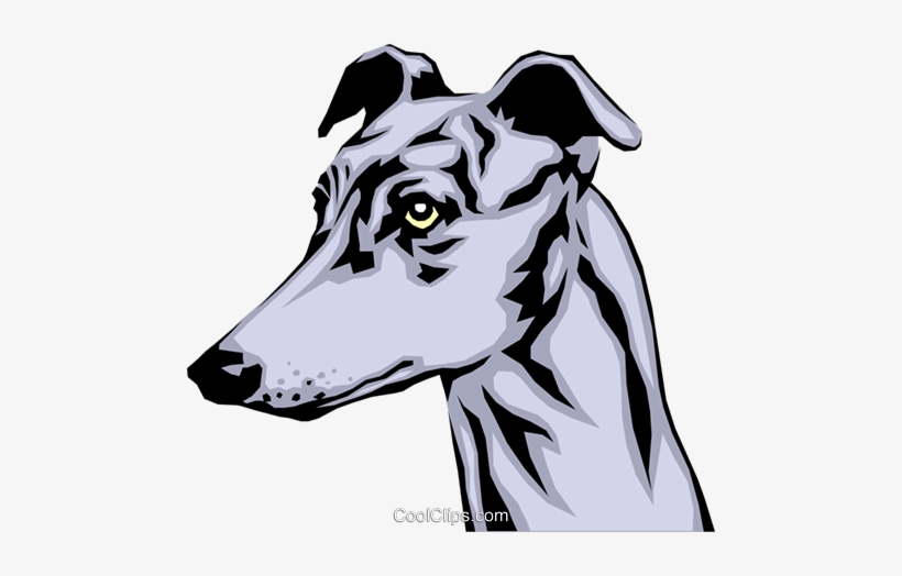 Greyhound Royalty Free Vector Clip Art Illustration - Greyhound Head Clipart, transparent png #4035099