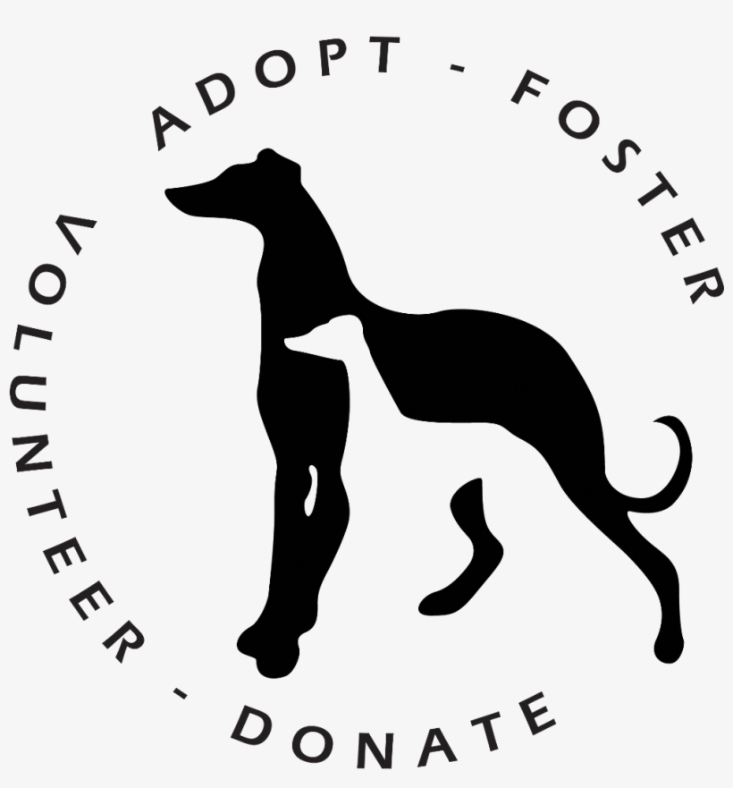 Greyhound Pets Of America, transparent png #4035122