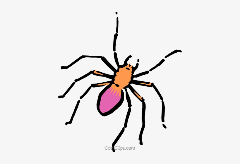 Cartoon Spider Royalty Free Vector Clip Art Illustration - Spider Clip Art, transparent png #4035159