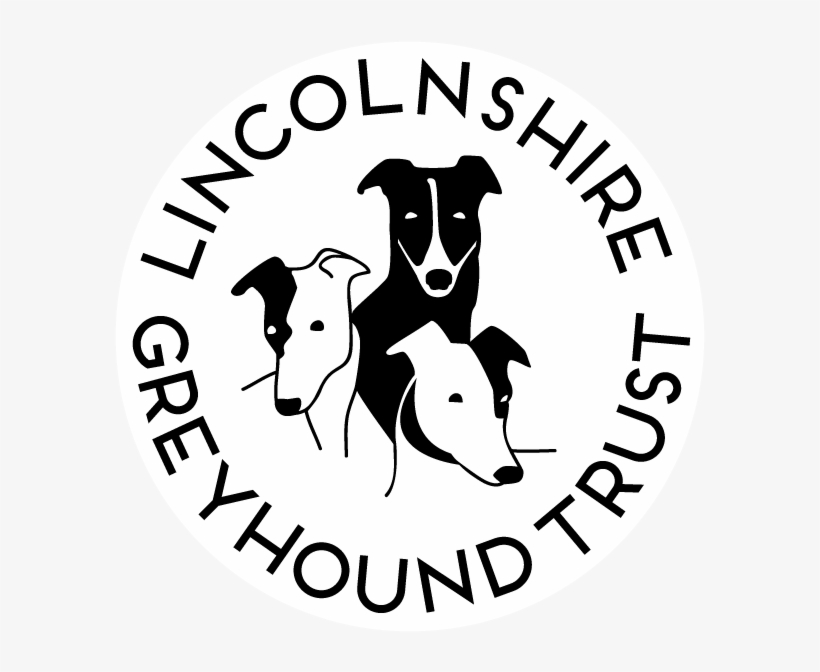Greyhound Rehoming Services, Lincolnshire Greyhound - Lincolnshire Greyhound Trust, transparent png #4035258