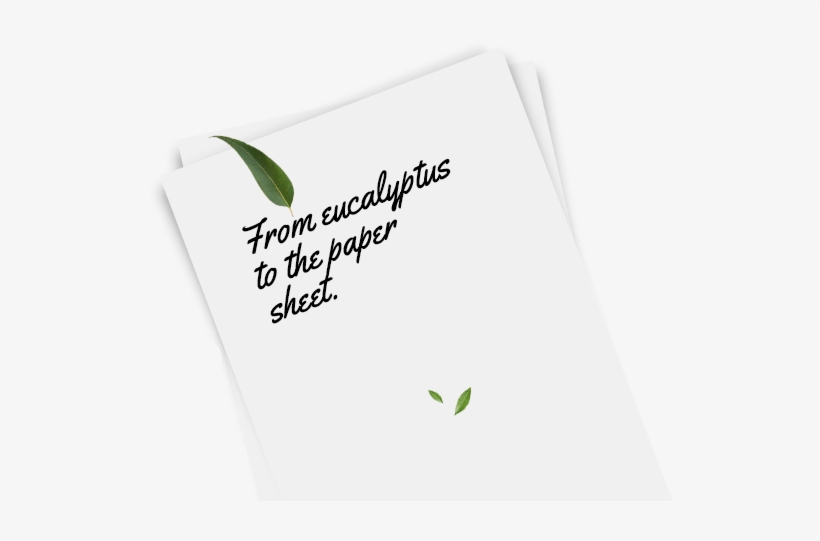 2 Forestry - Document, transparent png #4035453