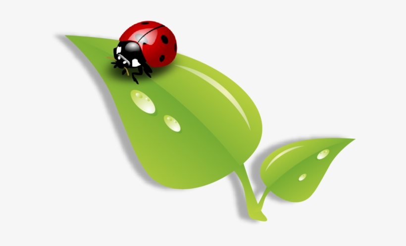 Double Click Here To Add Text - Ladybug, transparent png #4035457