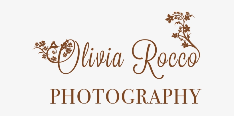 Logo - Photographer, transparent png #4035512