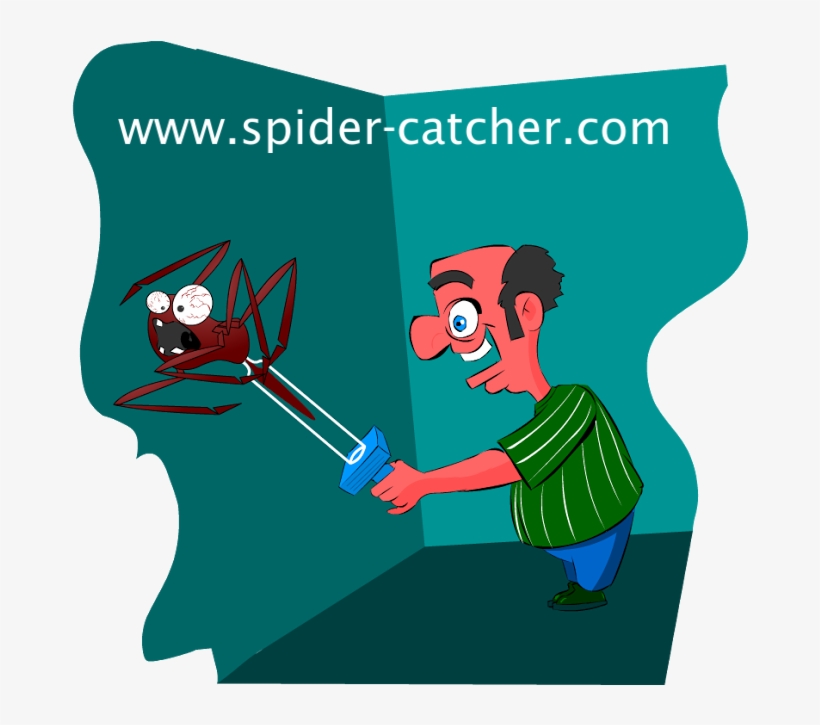 Photograph, transparent png #4035933