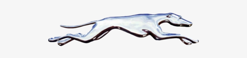 Go Greyhounds - Shippensburg High School Cross Country, transparent png #4036071