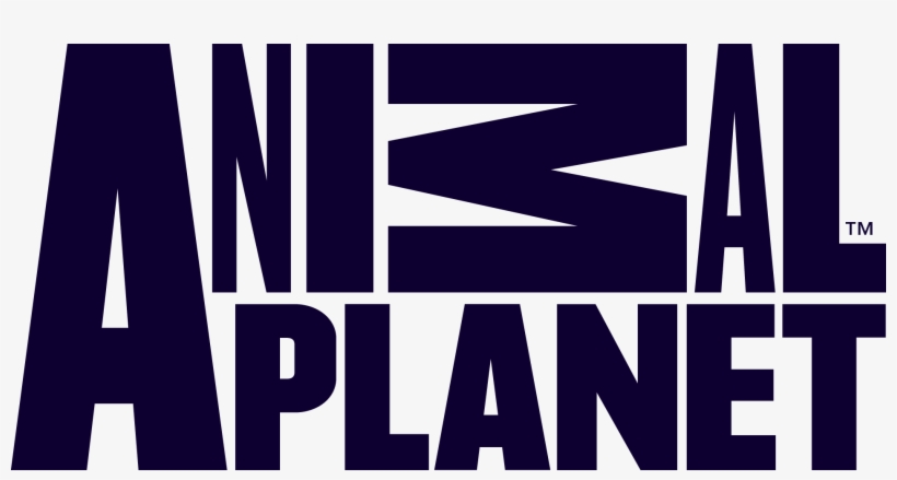 Animal Planet - Animal Planet Tv Logo - Free Transparent PNG Download -  PNGkey