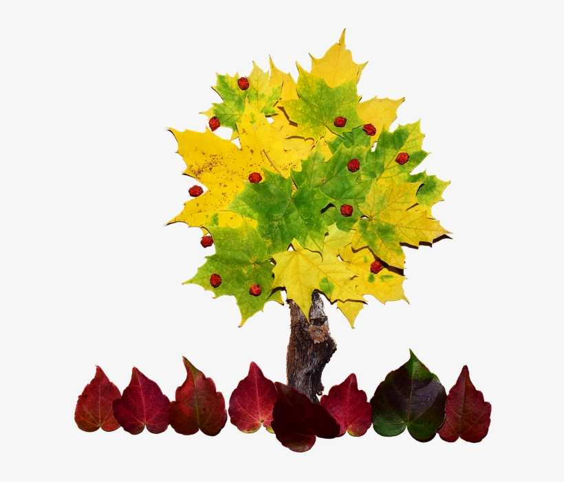 Tree, Collage, Pattern, Art, Colorful, Autumn, Leaves - Tree Collage, transparent png #4037874