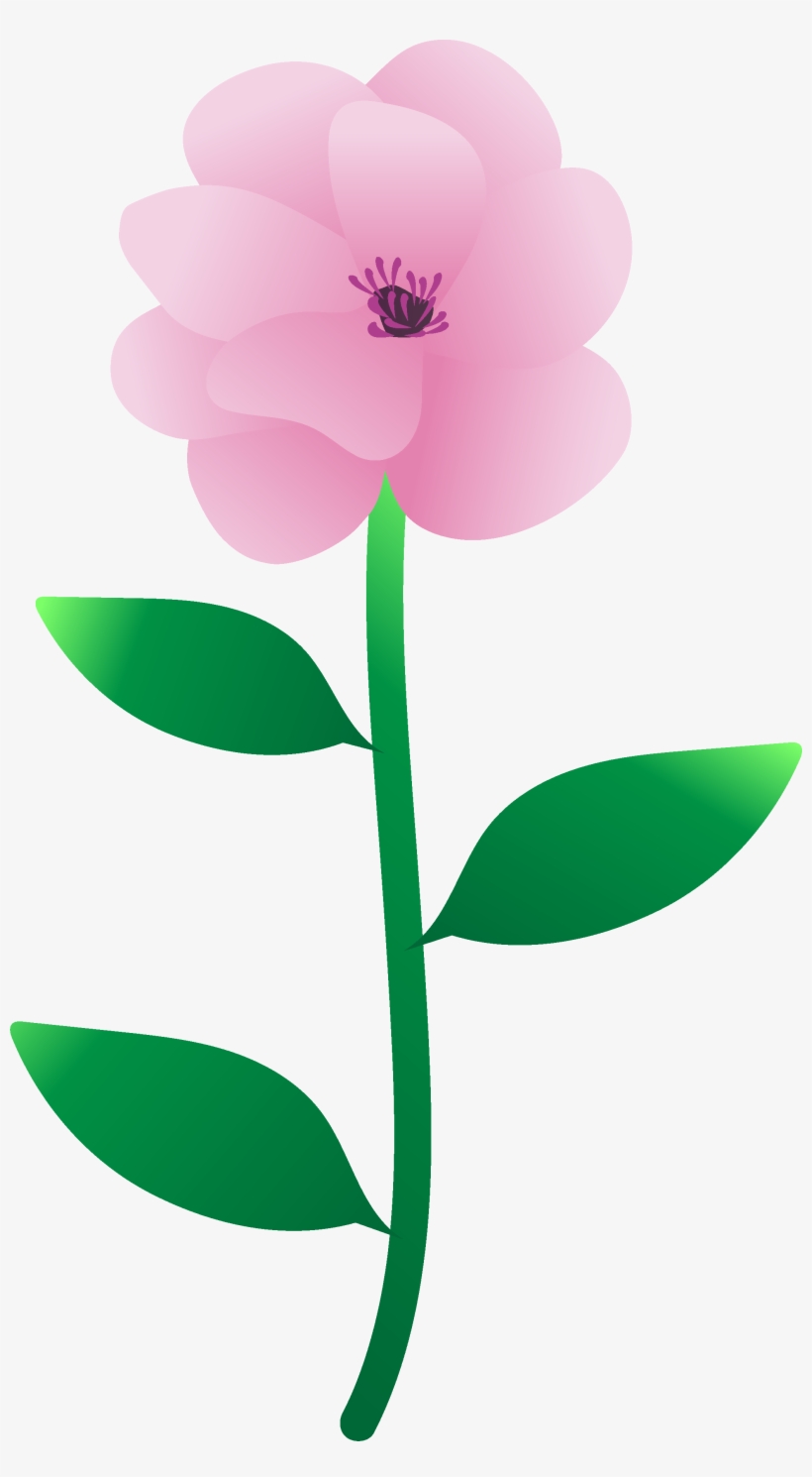 You Created A Magnolia - Common Peony, transparent png #4037881