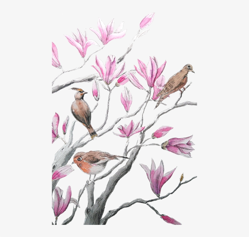 Bleed Area May Not Be Visible - Magnolia, transparent png #4038451