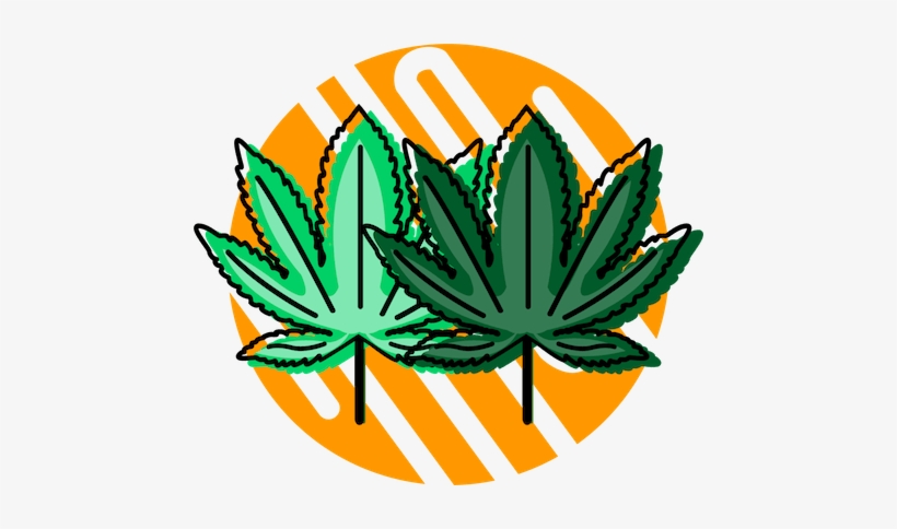The Difference Between Hemp And Cannabis, transparent png #4038508
