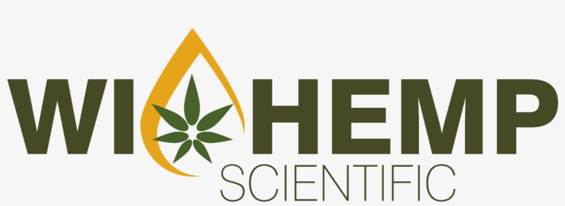 It's Her Birthday, transparent png #4038775