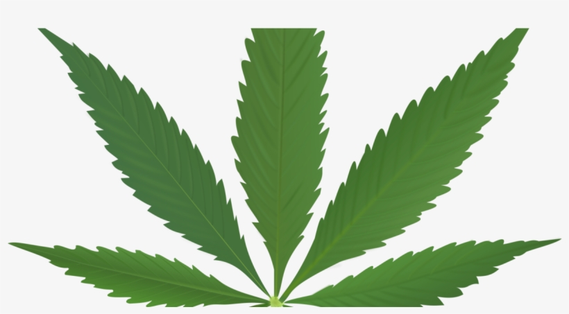 Does Marijuana Make You More Creative - Pot Leaf, transparent png #4038831