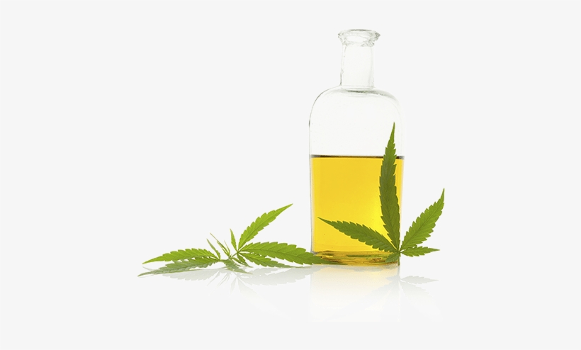 Whole-plant Hemp Extract - Rosa Glauca, transparent png #4038955