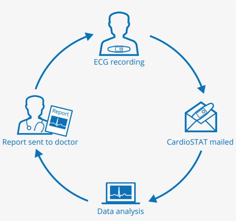 Cardiostat-workflow - Figuras Geometricas Para Armar Esfera, transparent png #4039045