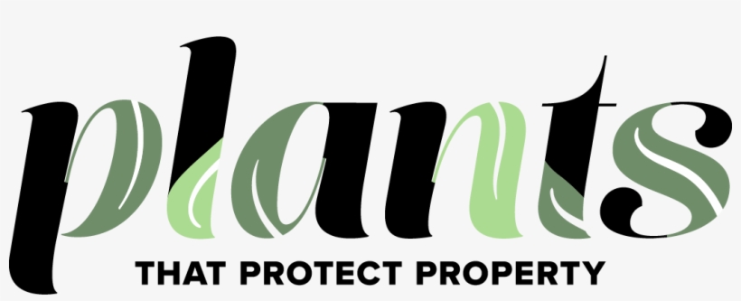 Plants That Protect Property - Graphic Design, transparent png #4039168