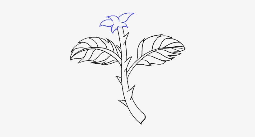 How To Draw Rose With A Stem Step - Drawing, transparent png #4039260