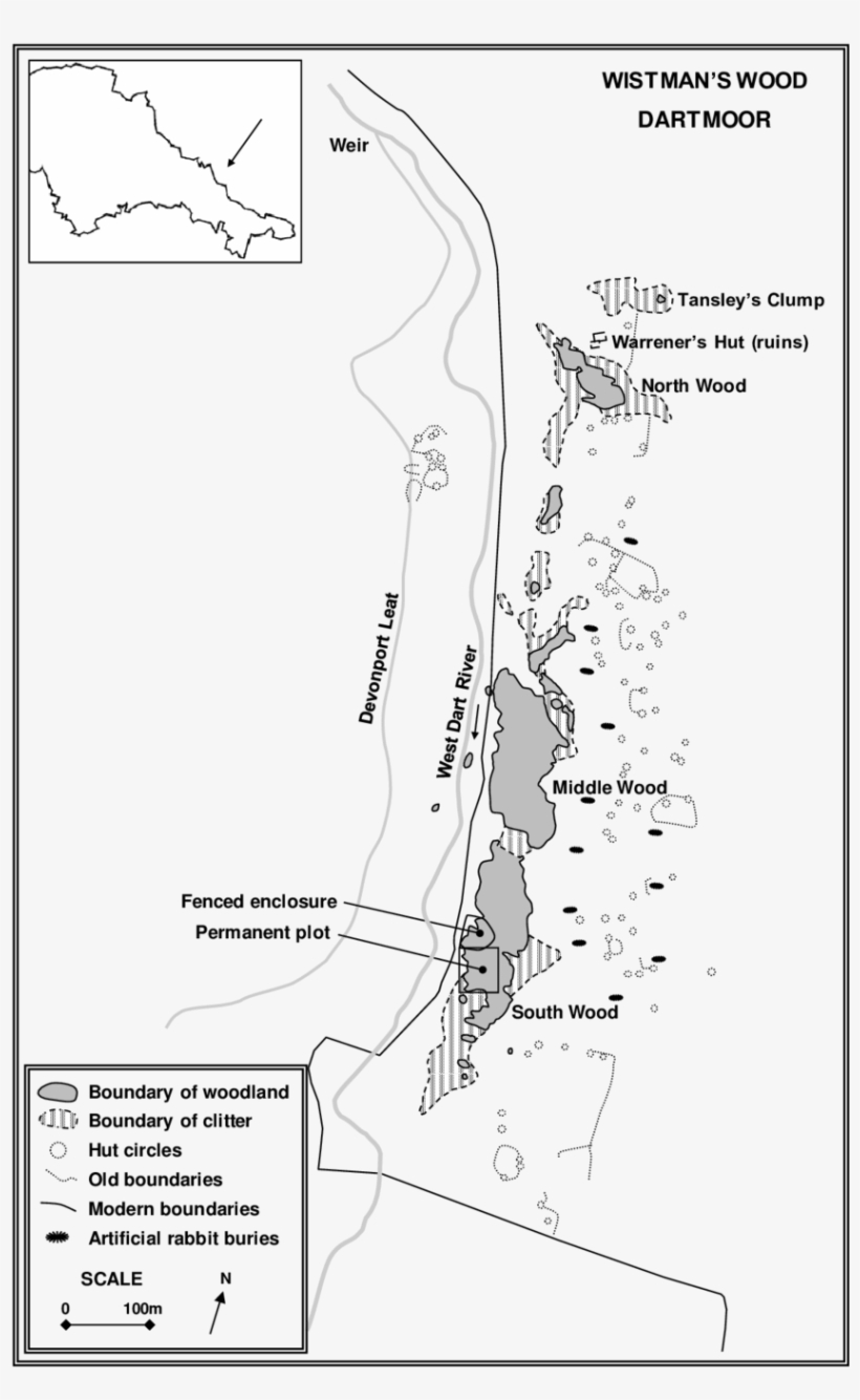 Site Map Of Wistman's Wood - Wistman's Wood, transparent png #4039485