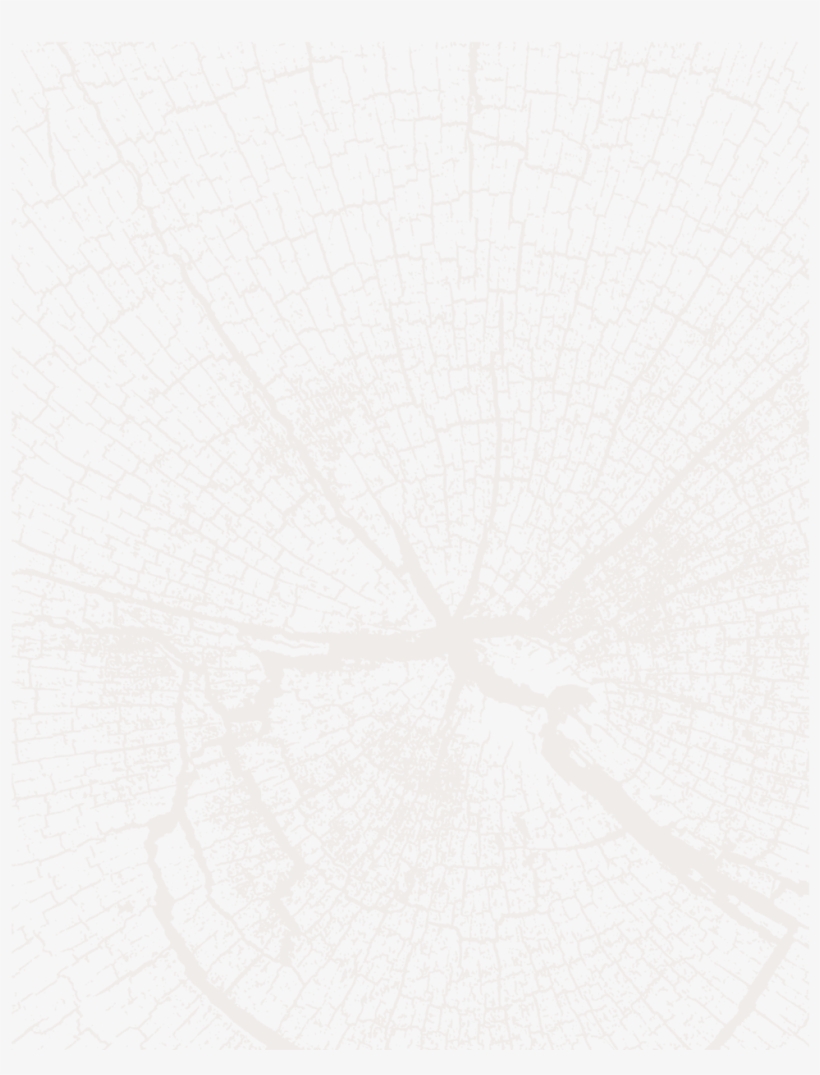 Bark&rock Wood Lighter 04, transparent png #4039762